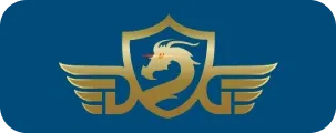 MomoPay logo
